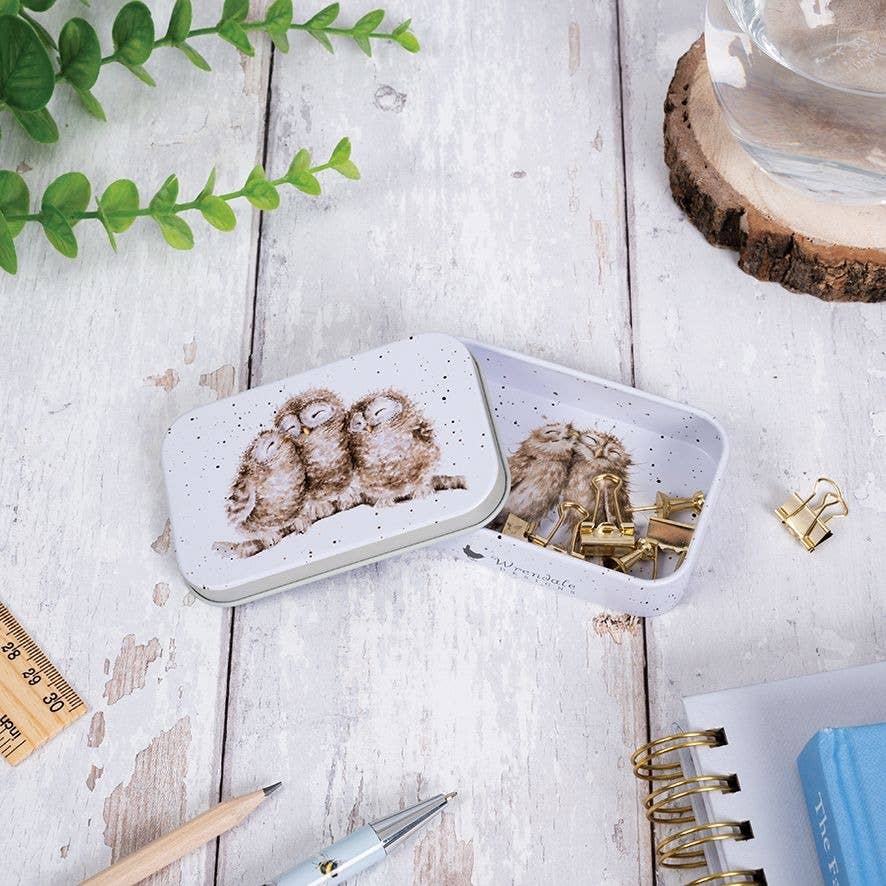 Owl Mini Tin - Owlets