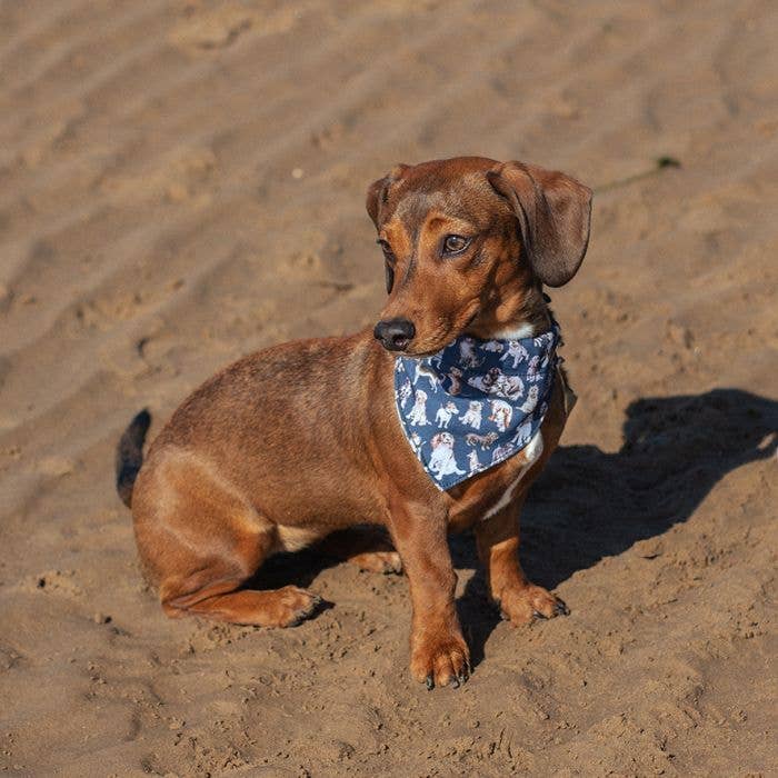 Dog Bandana - M/L