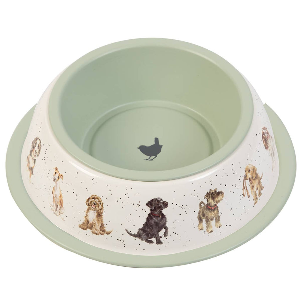 Dog Bowl