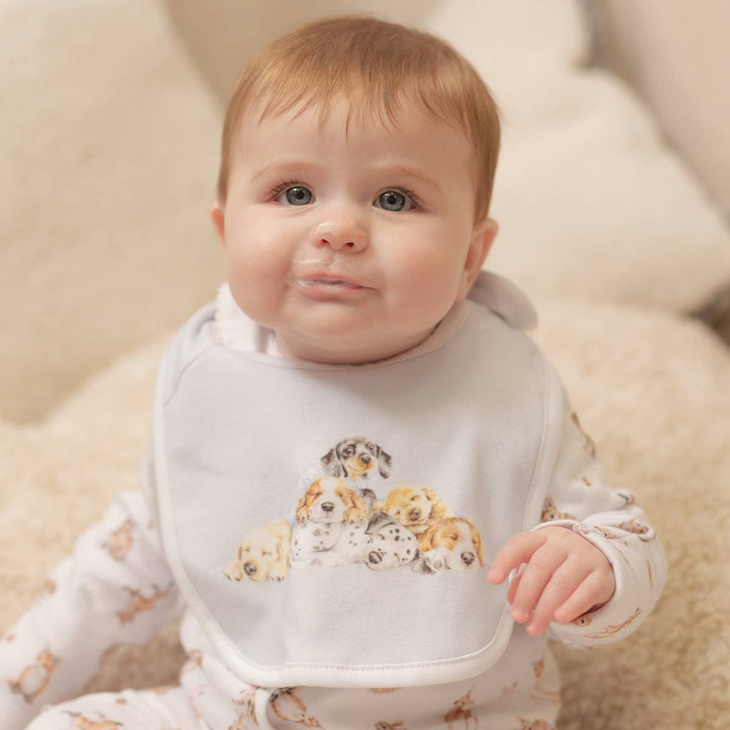 Little Wren Bib Gift Set - Little Paws