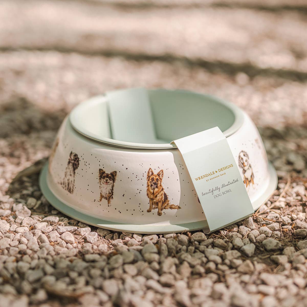 Dog Bowl