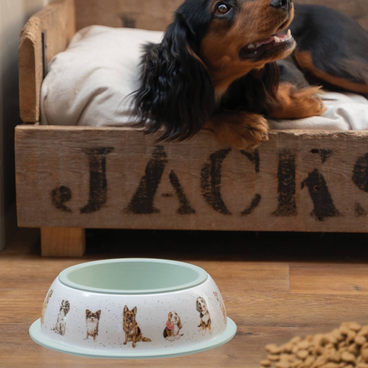 Dog Bowl