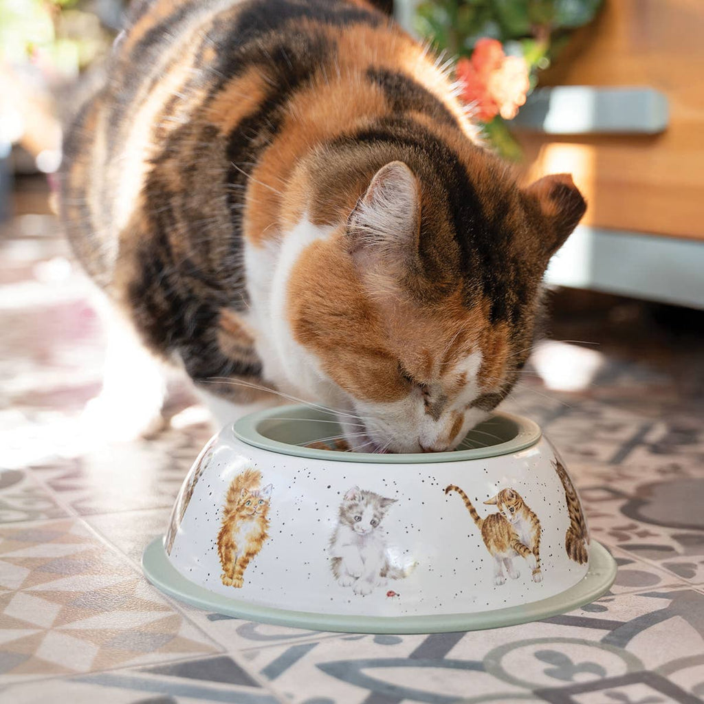 Wrendale Designs - Cat Bowl